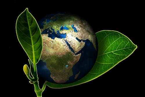 Green-Cleaning-and-Supplies--Green-Cleaning-&-Supplies-892584-image